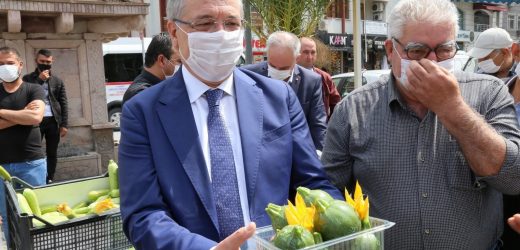 Edremit Belediyesi’nde 25 Yıl Sonra İlk Hasat Sevinci Edremit Belediyesi Tarıma Yöneldi