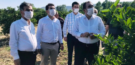 Kozan Çevre  Çalışmaları İnceledi