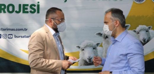 Bursa Büyükşehir’den hayvancılığa destek