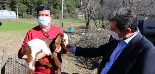 Muğla Valisi Orhan Tavlı, Hastalıktan Ari Bölgeyi Ziyaret Etti