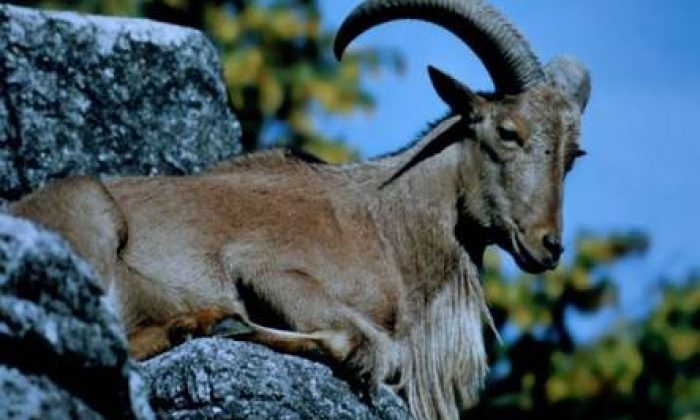 Acar haber ses getirdi, o ihale iptal edildi