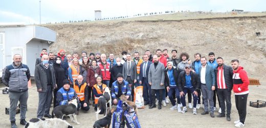 İlkadım ve Atakum’dan sokak hayvanlarına mama desteği