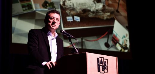 TÜRKİYE’NİN EN BÜYÜK FOSİL AĞACI BEYLİKDÜZÜ’NDETÜRKİYE’NİN EN BÜYÜK FOSİL AĞACI BEYLİKDÜZÜ’NDE