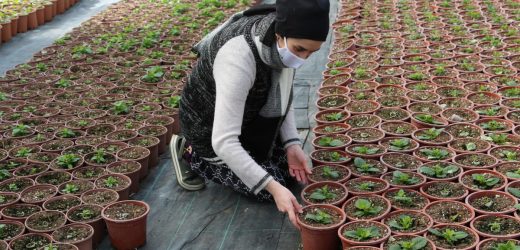 SARIYER ÇALIŞAN KADININ MESAİSİ EVDE DE DEVAM EDİYOR!